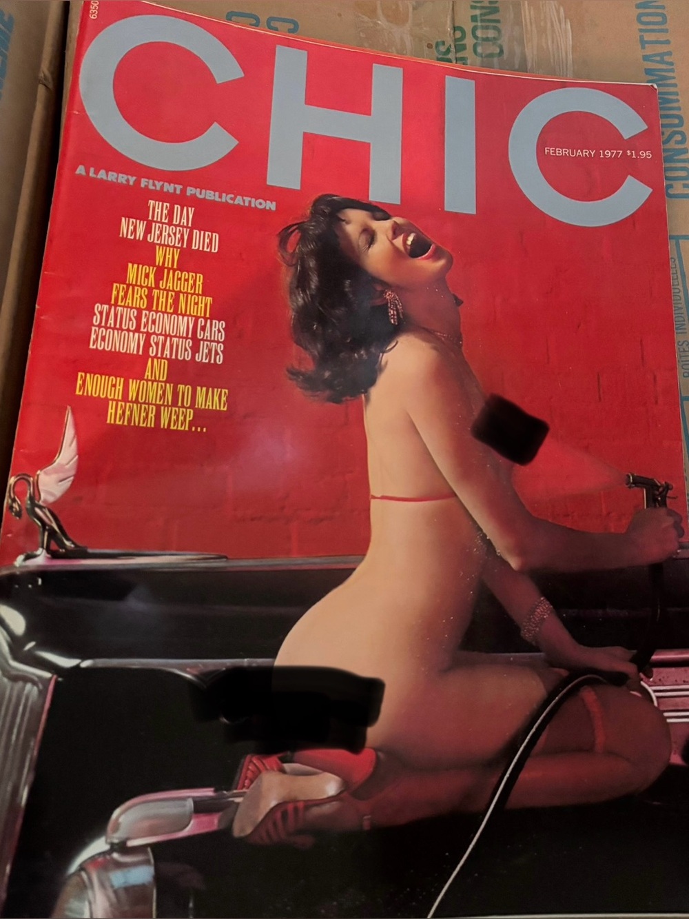 Vintage Chic Magazine - February 1977